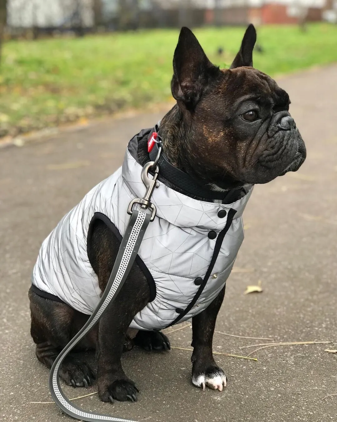 WAUDOG REFLECTIVE DOG JACKET