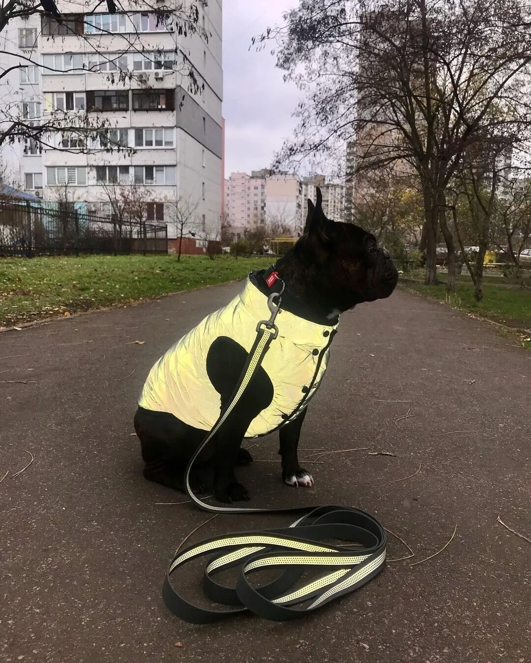 WAUDOG REFLECTIVE DOG JACKET